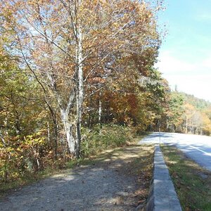 DSCN0504