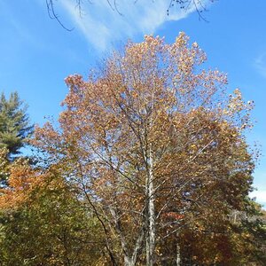 DSCN0505