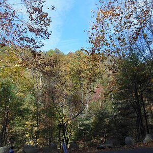 DSCN0540