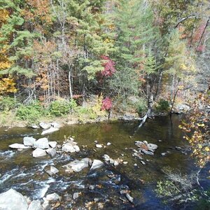 DSCN0546