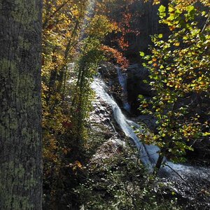 DSCN0551