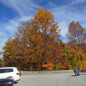DSCN0557