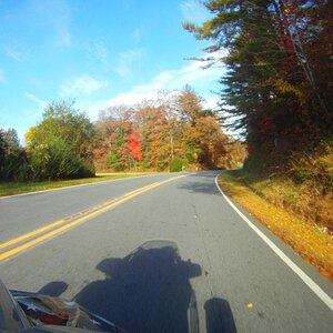 FILE0446