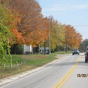 fall colors 2012