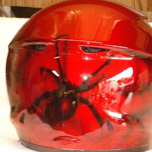 my helmet