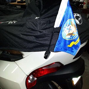 RP Flags2