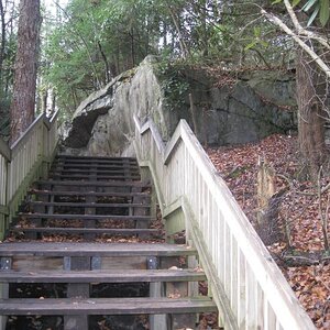 IMG 0381