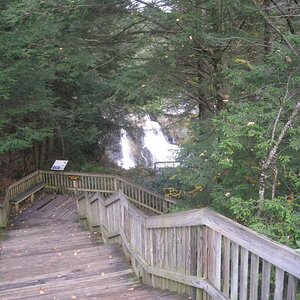 IMG 0388