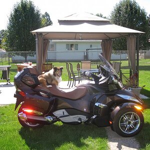 IMG 0180