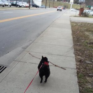 20130304 171210[1]