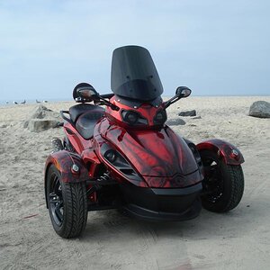 Sassy on the beach