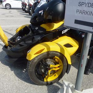 black & yellow