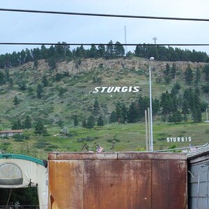 STURGIS