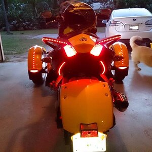 Passenger rail and under tail lights.