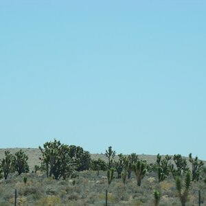 98 LA LV 020