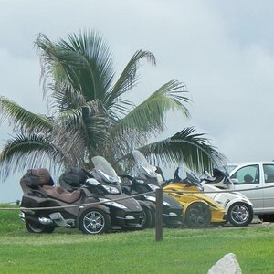 DSCN0353
