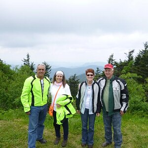 Top of Mt Mitchell