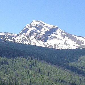 IMG953246