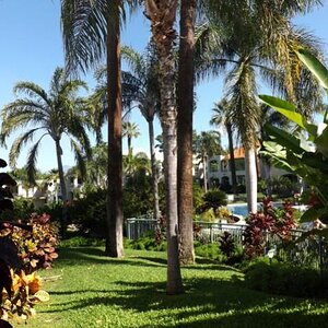 Wailea Palms--Maui