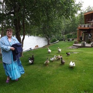 2013 Daniels Lake