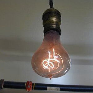 110yr old bulb