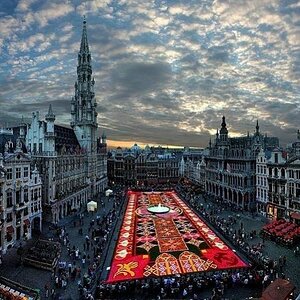 AreaRug, Brussels, Belgium