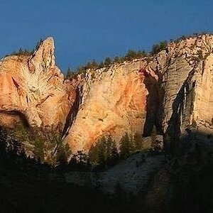 Cat Mountain