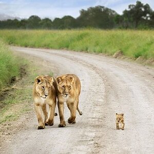 Happy Family
