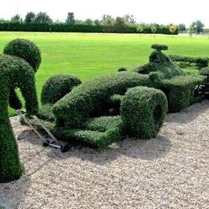 Landscape Design
