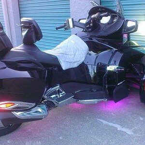 purple lights