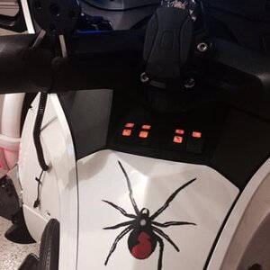 Spyder Photo