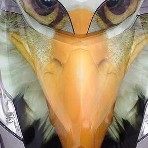 CAM00790
