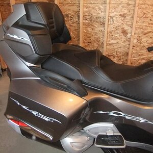 Body Graphics