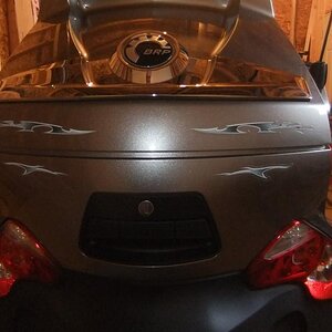 Back Trunk Graphics