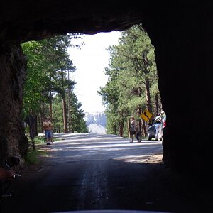 IMGP2283