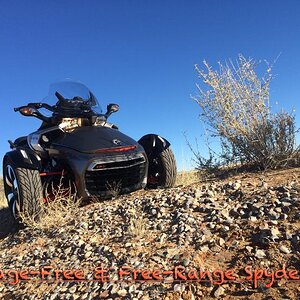 Free Range Spyder 2