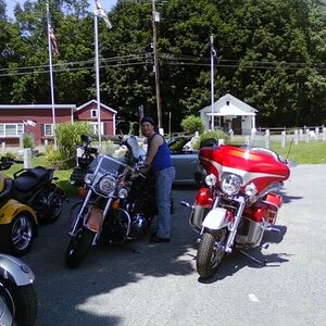 Bengal NY6