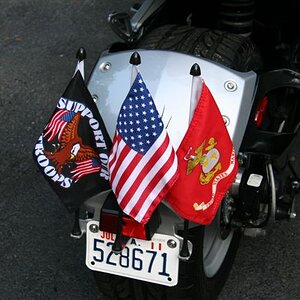 Picture 153