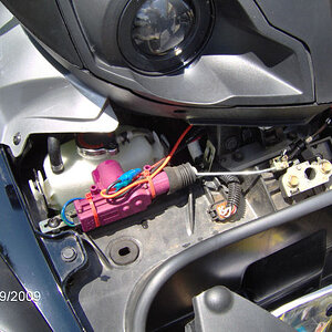 Trunk Mechanism