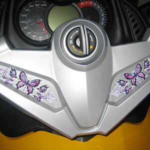 butterflys