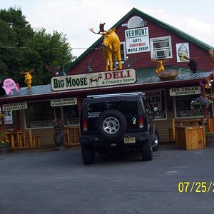 Moose overload.