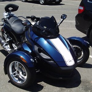 Blue spyder