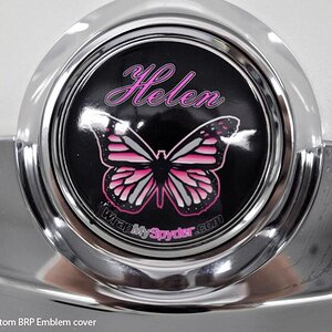 Emblem cover