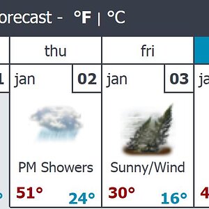 Forcast