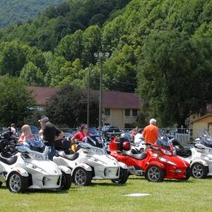 Spyders Galore 1