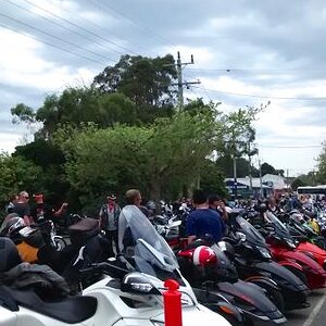 Spyders at Blessing
