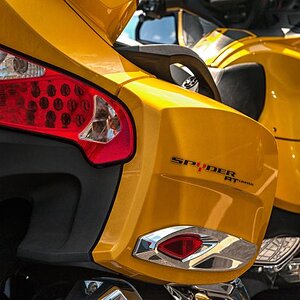 Rear view