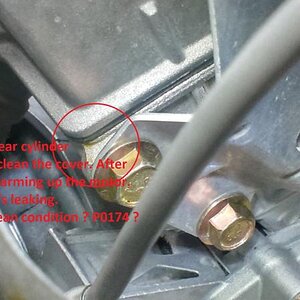 reargasketleak