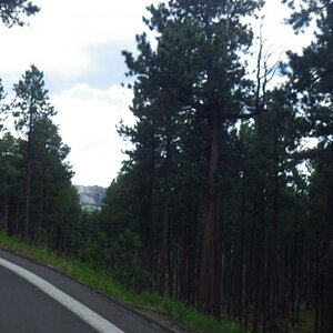 IMGP4931