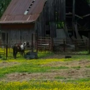 Old barn